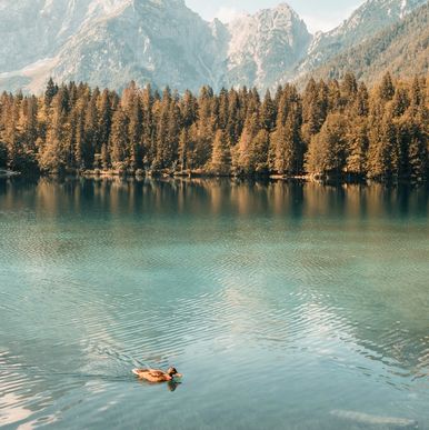 Schnell, zuverlässig, immer stilvoll unterwegs